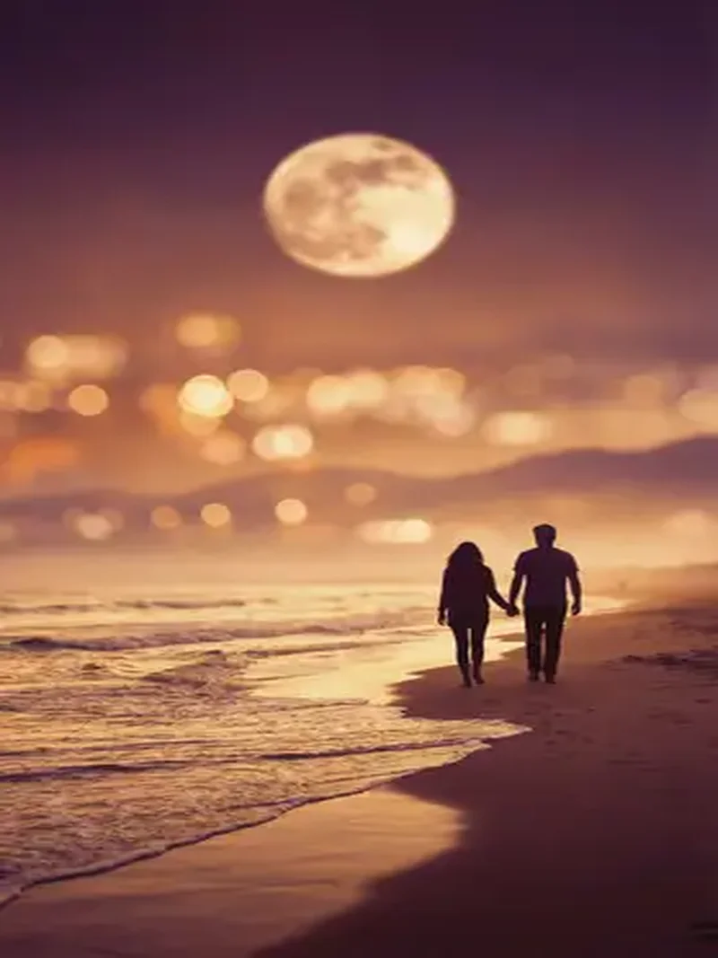 萝莉岛栏目浪漫爱情电影月光海岸海报